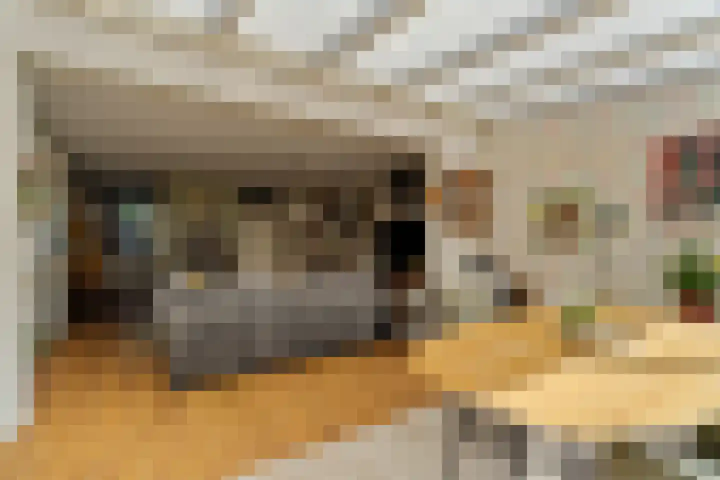 Tjonger 17 Rotterdam thumbnail 8