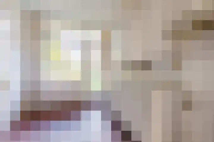 Tjonger 18 Apeldoorn thumbnail 10