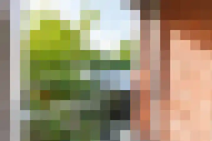 Tjonger 18 Apeldoorn thumbnail 12