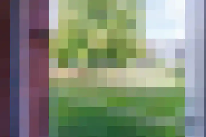 Tjonger 18 Apeldoorn thumbnail 13