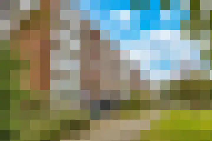 Tjonger 18 Apeldoorn thumbnail 14