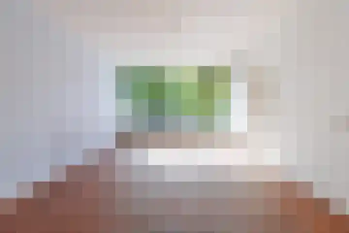 Tjonger 18 Apeldoorn thumbnail 7