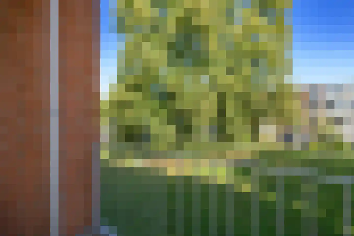 Tjonger 22 Apeldoorn thumbnail 16