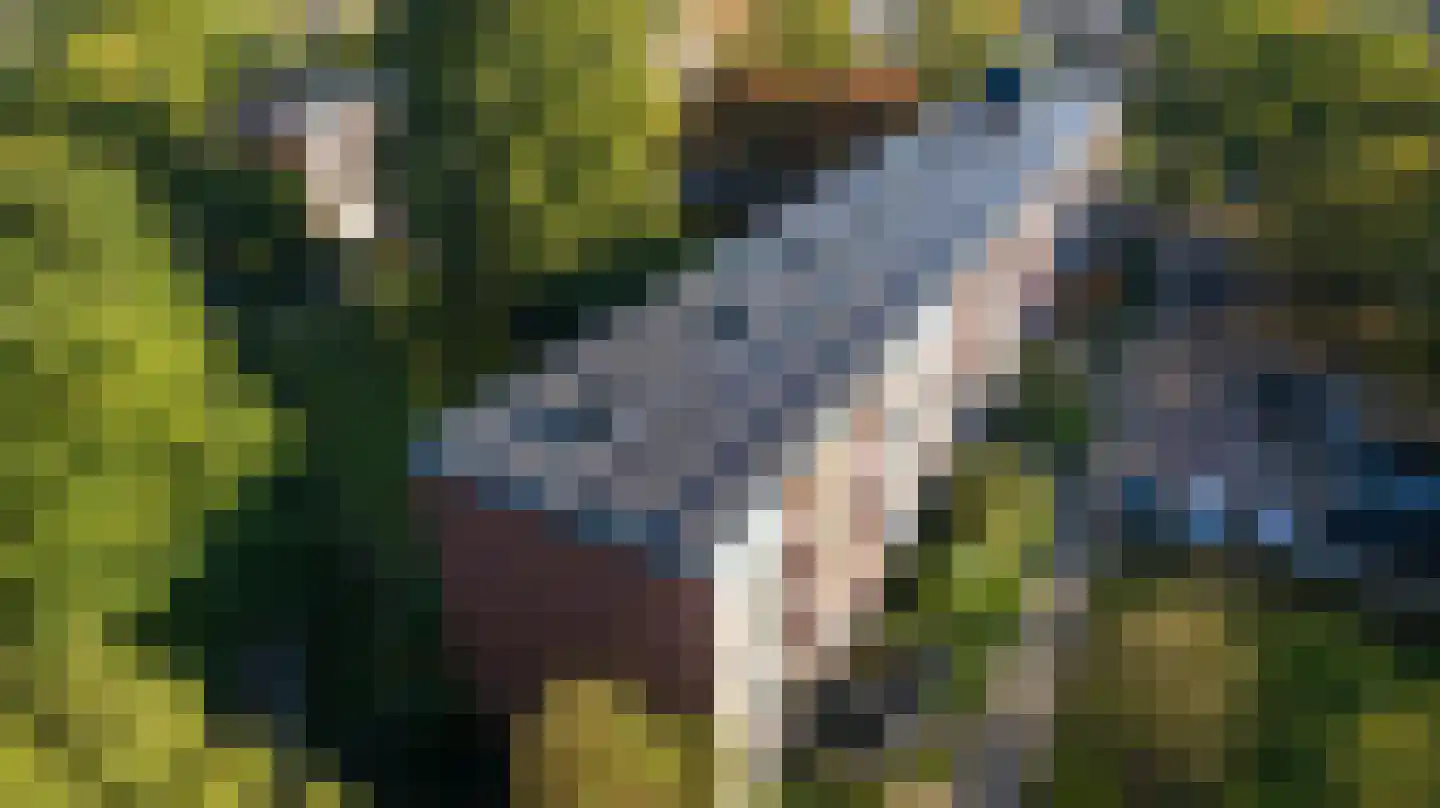 Tjonger 22 Apeldoorn thumbnail 25