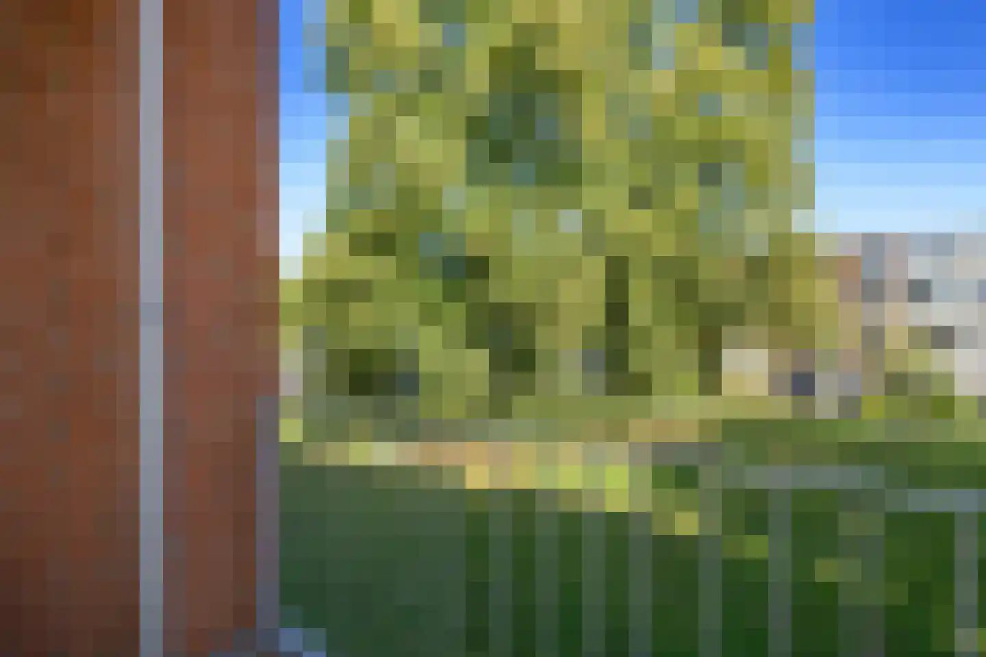 Tjonger 22 Apeldoorn thumbnail 5