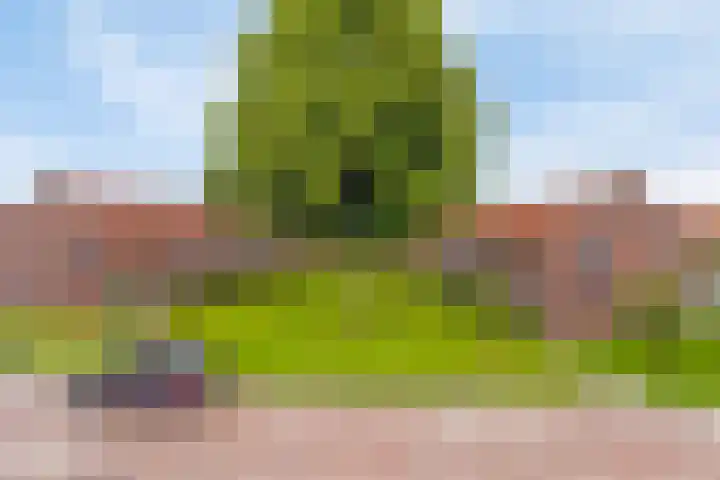 Tjonger 3 De Meern thumbnail 11
