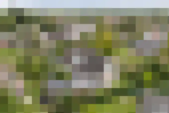 Tjonger 3 De Meern thumbnail 22