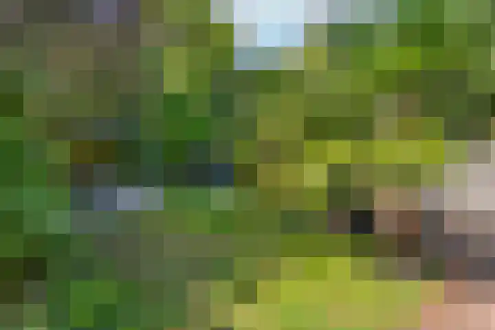 Tjonger 3 De Meern thumbnail 26