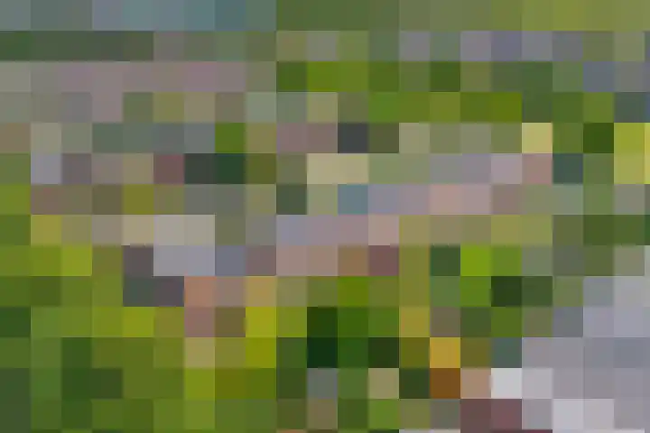 Tjonger 3 De Meern thumbnail 29