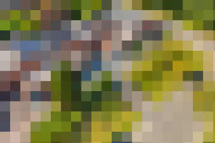 Tjonger 3 De Meern thumbnail 31