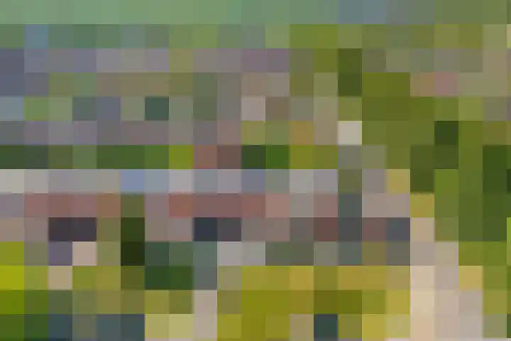 Tjonger 3 De Meern thumbnail 36