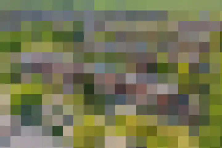 Tjonger 3 De Meern thumbnail 37