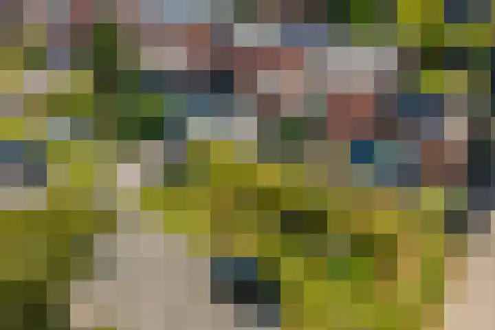 Tjonger 3 De Meern thumbnail 38