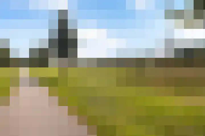 Tjonger 3 De Meern thumbnail 41