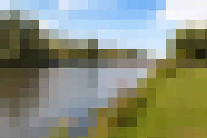 Tjonger 3 De Meern thumbnail 42