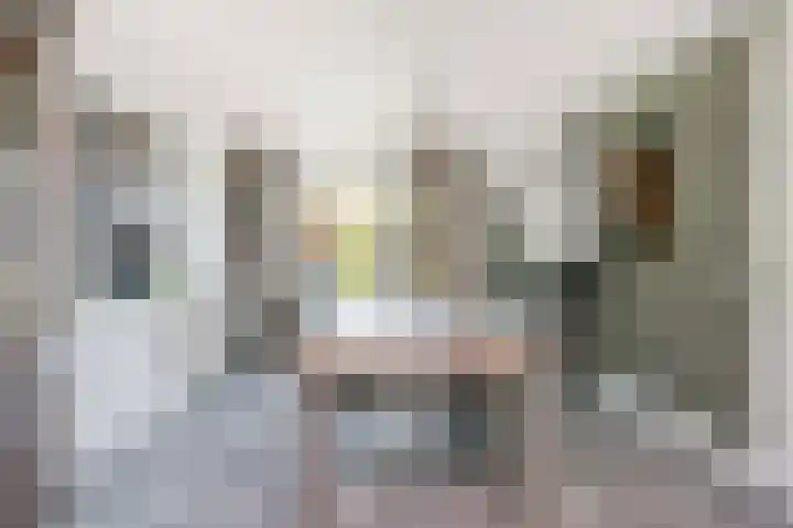 Tjonger 3 De Meern thumbnail 7