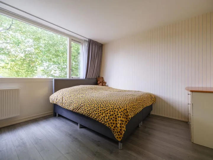 Tjonger 45 Drachten thumbnail 22