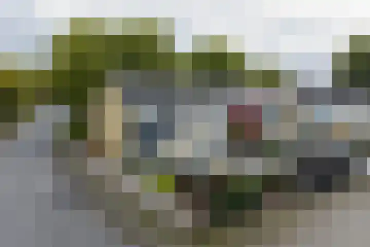 Tjonger 45 Drachten thumbnail 45