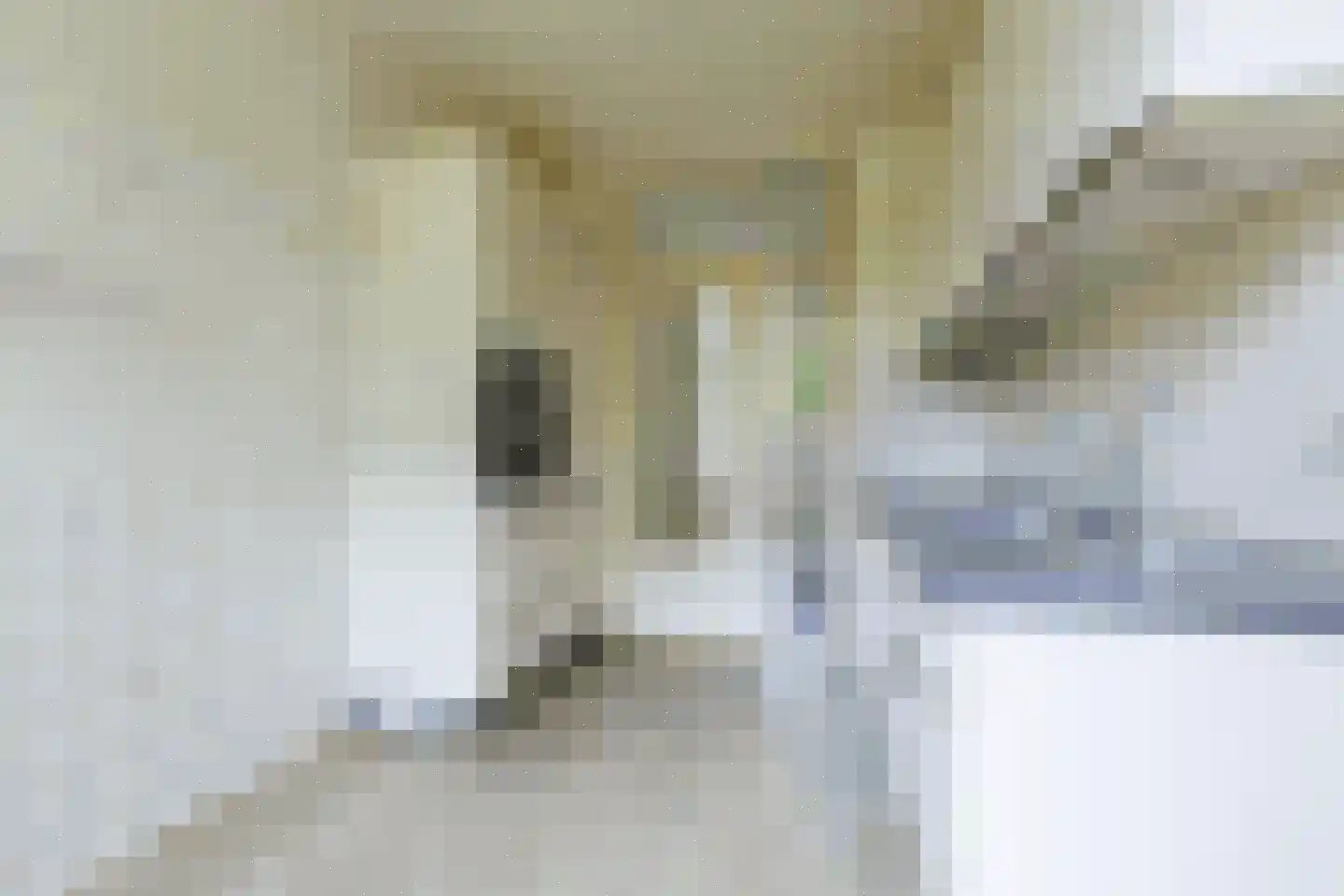 Tjonger 52 Apeldoorn thumbnail 10