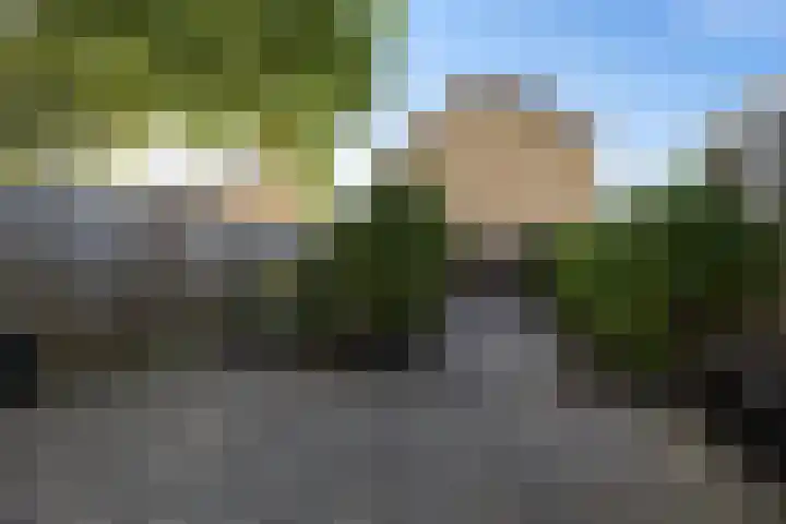 Tjonger 59 Drachten thumbnail 30