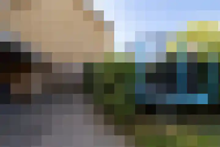 Tjonger 59 Drachten thumbnail 33