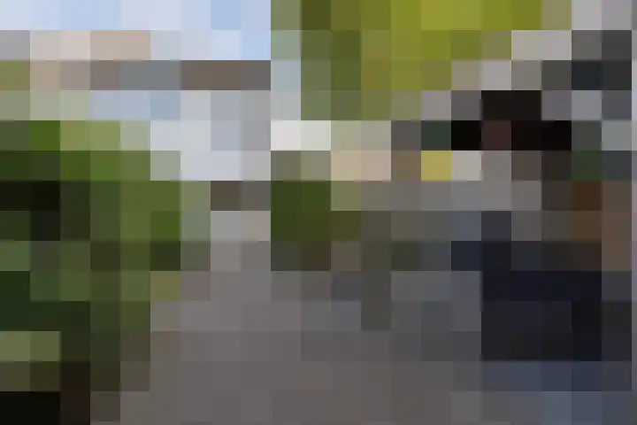 Tjonger 59 Drachten thumbnail 34