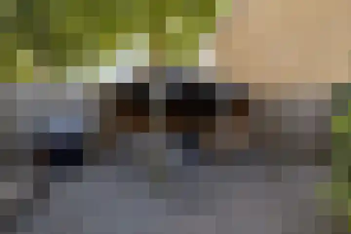 Tjonger 59 Drachten thumbnail 35