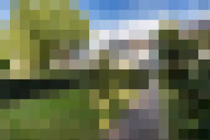 Tjonger 59 Drachten thumbnail 41