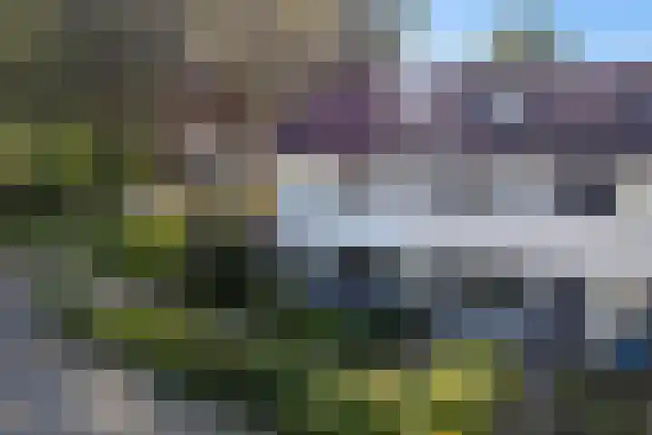 Tjonger 59 Drachten thumbnail 42