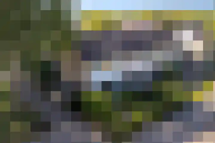 Tjonger 59 Drachten thumbnail 43