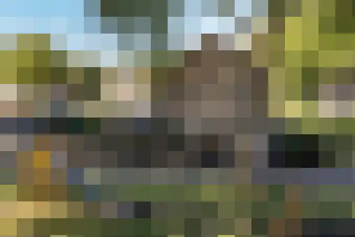 Tjonger 59 Drachten thumbnail 44