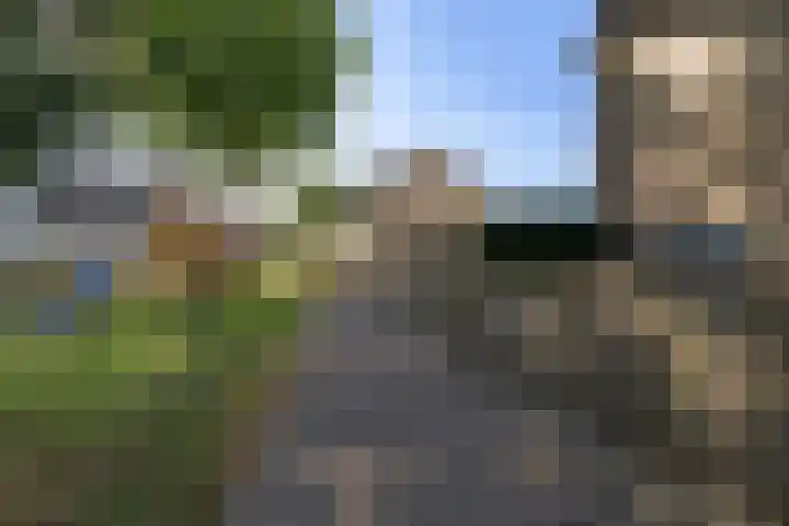 Tjonger 59 Drachten thumbnail 45