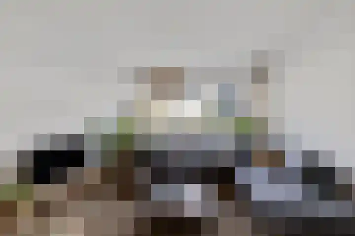 Tjonger 59 Drachten thumbnail 5