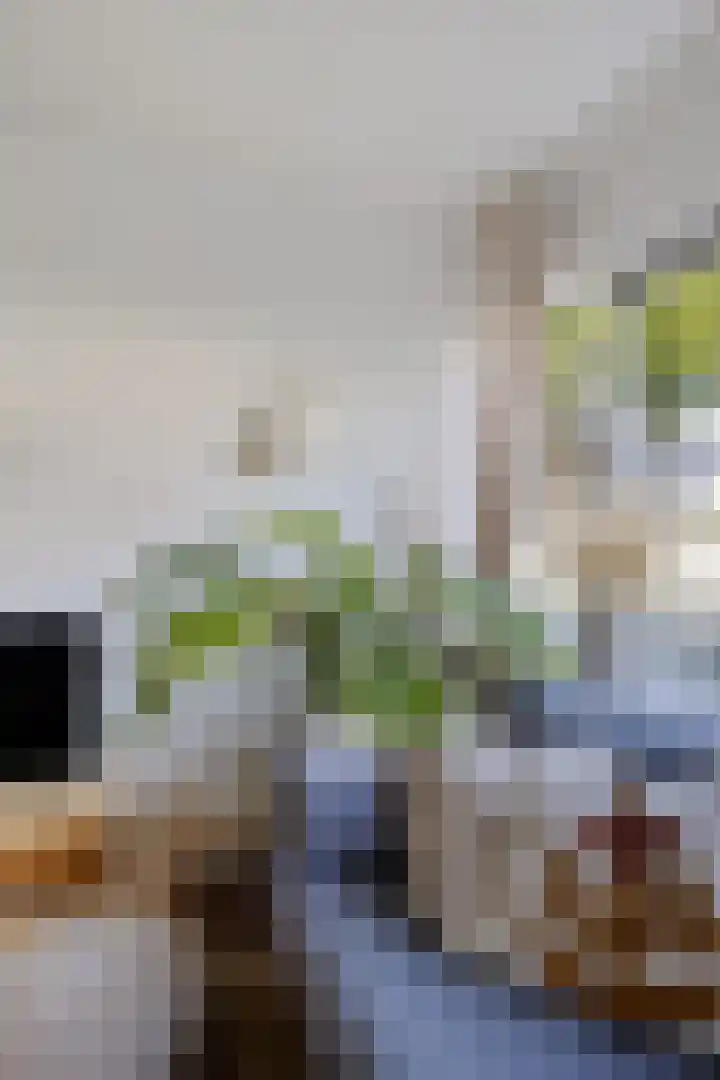 Tjonger 59 Drachten thumbnail 7