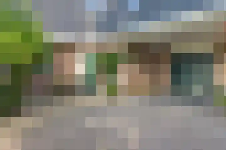 Tjongerpad 12 Delfstrahuizen thumbnail 10