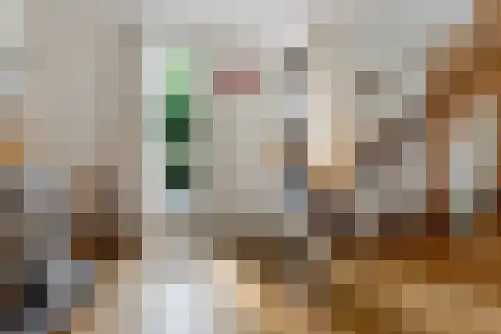 Tjongerpad 12 Delfstrahuizen thumbnail 11