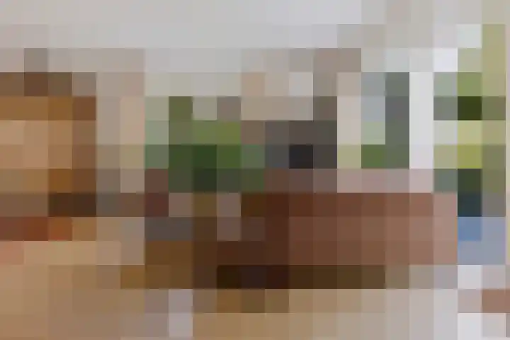 Tjongerpad 12 Delfstrahuizen thumbnail 13