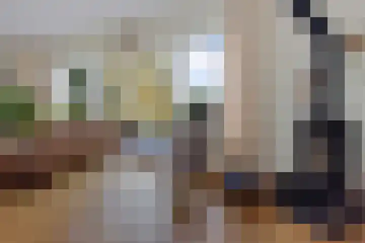 Tjongerpad 12 Delfstrahuizen thumbnail 14