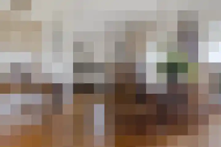 Tjongerpad 12 Delfstrahuizen thumbnail 16