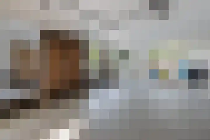 Tjongerpad 12 Delfstrahuizen thumbnail 22