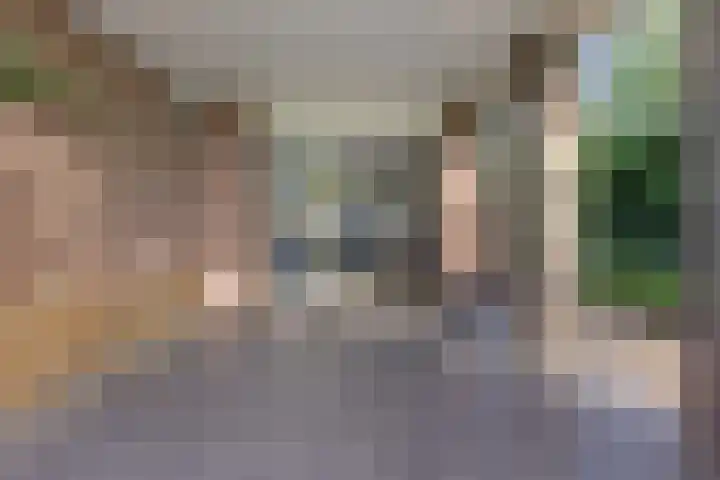 Tjongerpad 12 Delfstrahuizen thumbnail 23