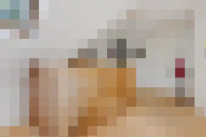 Tjongerpad 12 Delfstrahuizen thumbnail 24