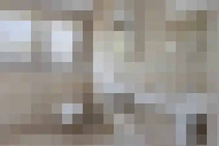 Tjongerpad 12 Delfstrahuizen thumbnail 30
