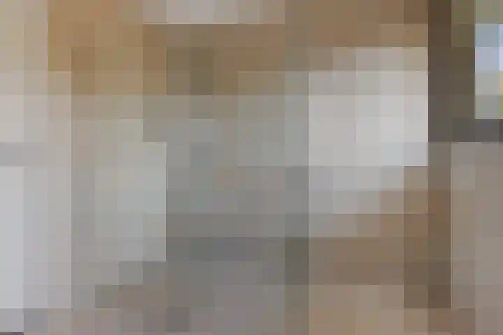 Tjongerpad 12 Delfstrahuizen thumbnail 31