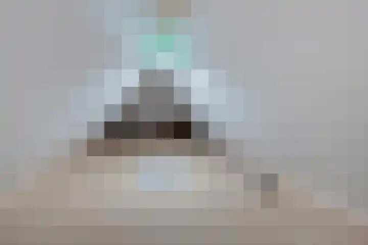 Tjongerpad 12 Delfstrahuizen thumbnail 34