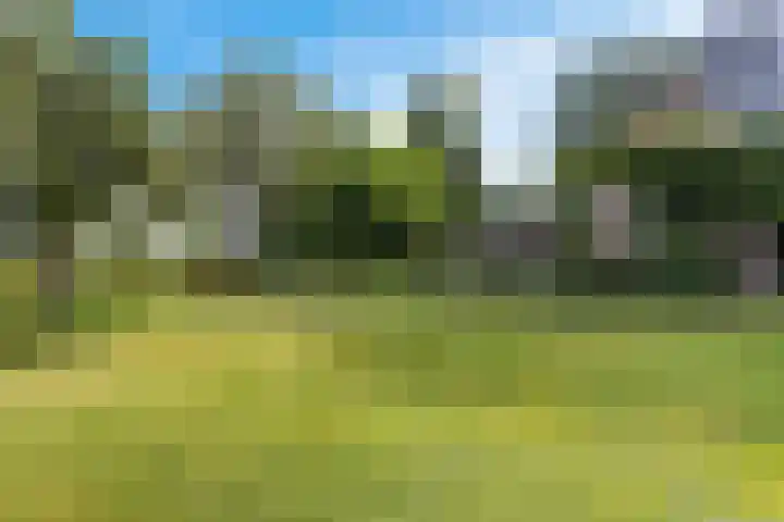Tjongerpad 12 Delfstrahuizen thumbnail 35