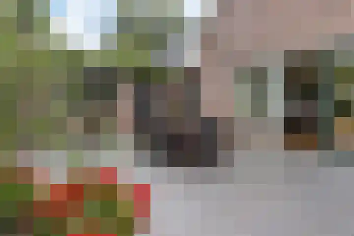 Tjongerpad 12 Delfstrahuizen thumbnail 36