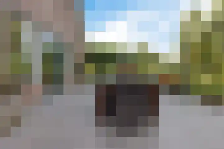 Tjongerpad 12 Delfstrahuizen thumbnail 37