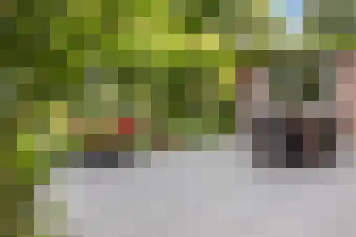 Tjongerpad 12 Delfstrahuizen thumbnail 38