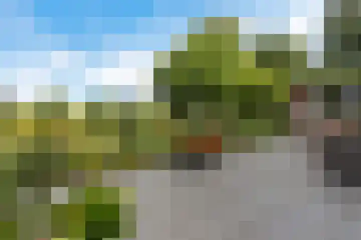 Tjongerpad 12 Delfstrahuizen thumbnail 39